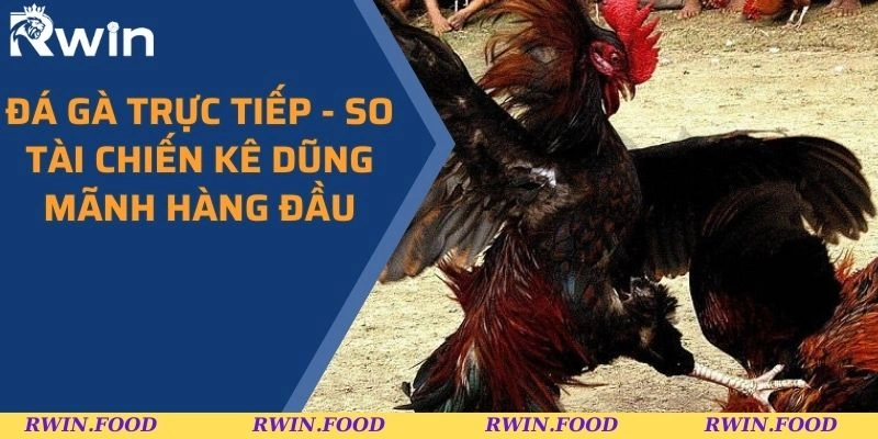 da-ga-truc-tiep